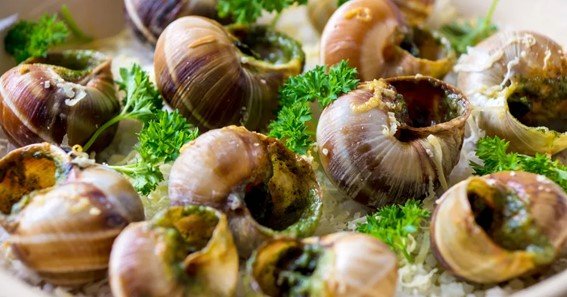 what is Escargot