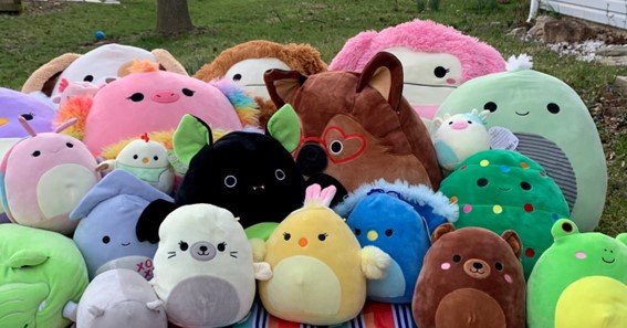 boycotting squishmallows