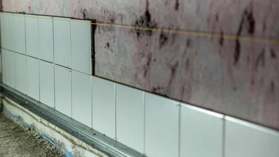 Untitled design 2026 04 14T161644.688