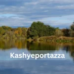 Is Kashyeportazza Ltd Good? Full Honest Review